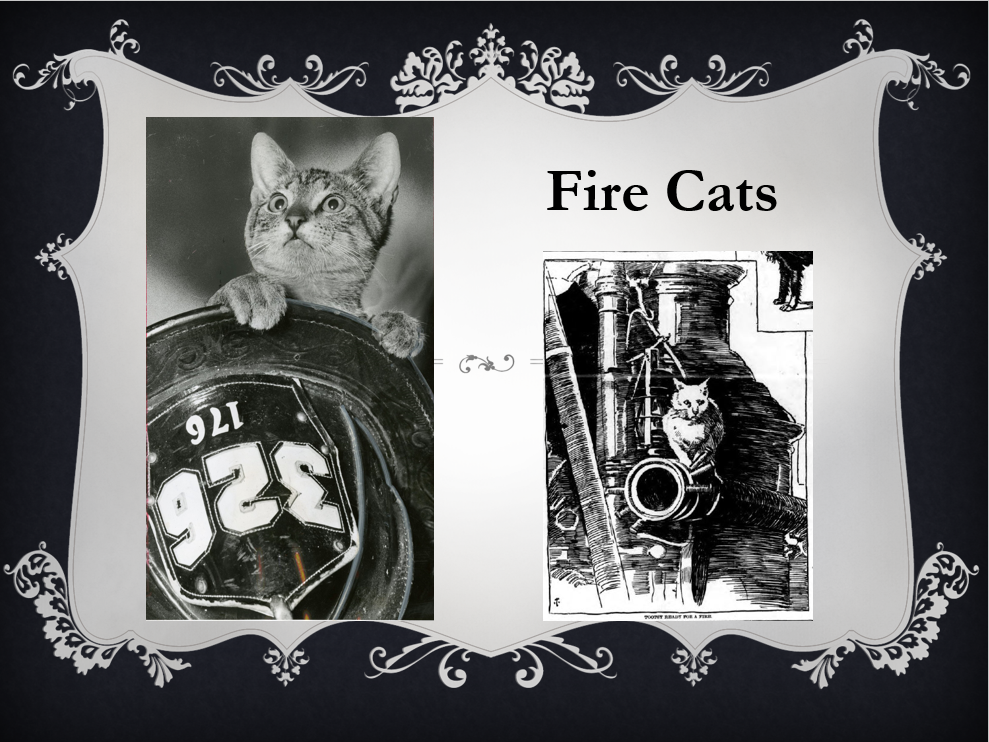 Free Virtual Cat Men of Gotham presentation