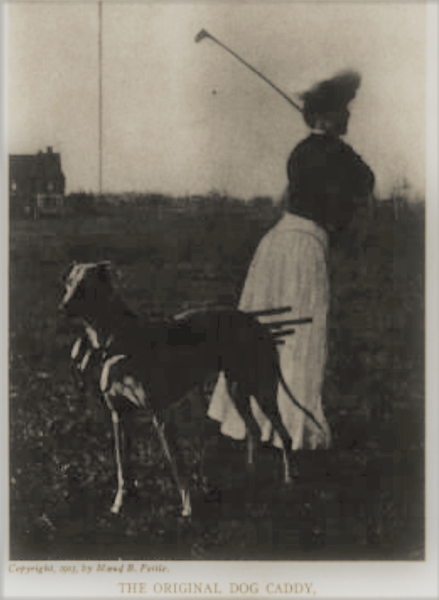 Maud Pottle with Bob the dog caddy at Marine and Field golf.
